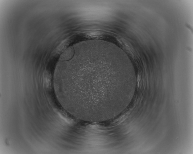 X0000097790408200803141834