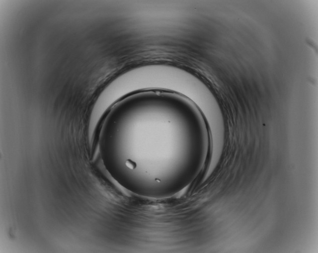 X0000097790411200803141833