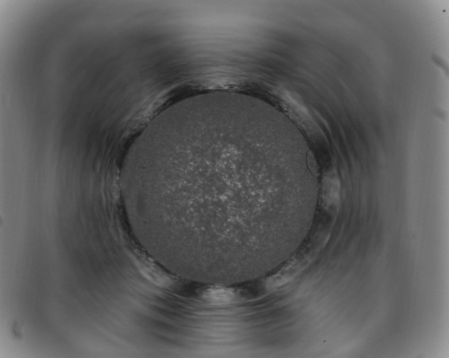 X0000097790413200803141833