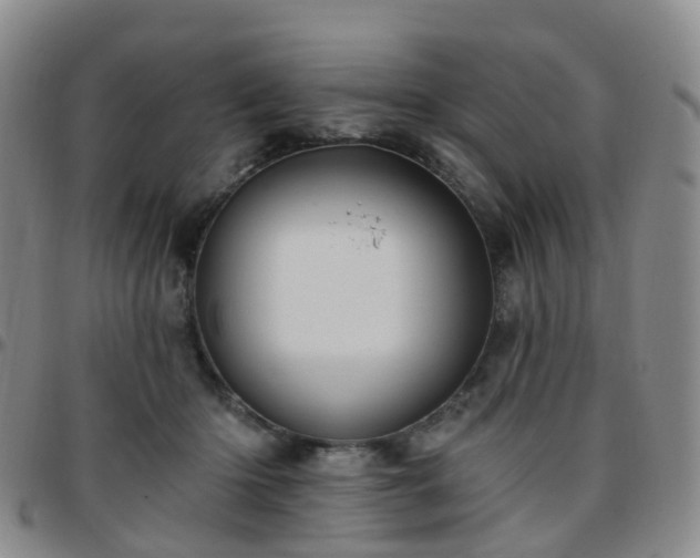 X0000097790414200803141833