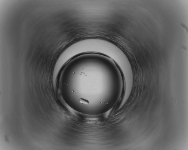X0000097790415200803141833
