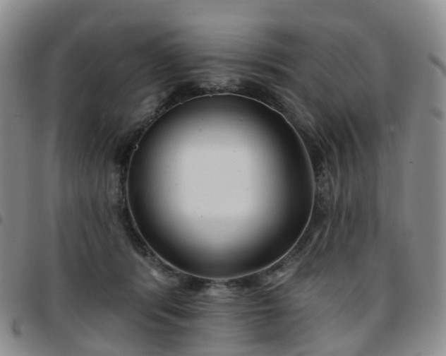 X0000097790416200803141833