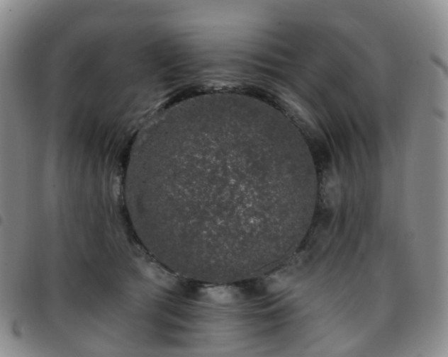 X0000097790417200803141833