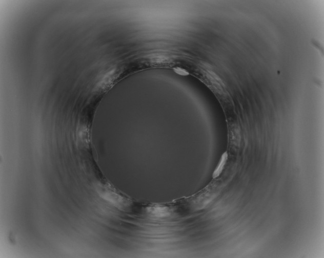 X0000097790419200803141833