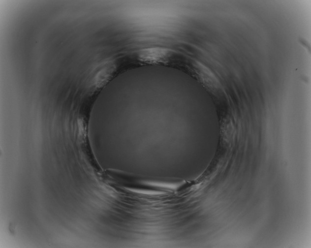 X0000097790420200803141833