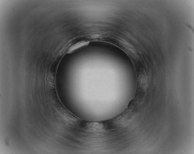 X0000097790421200803141833