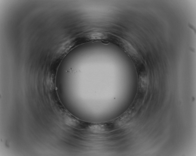 X0000097790422200803141833