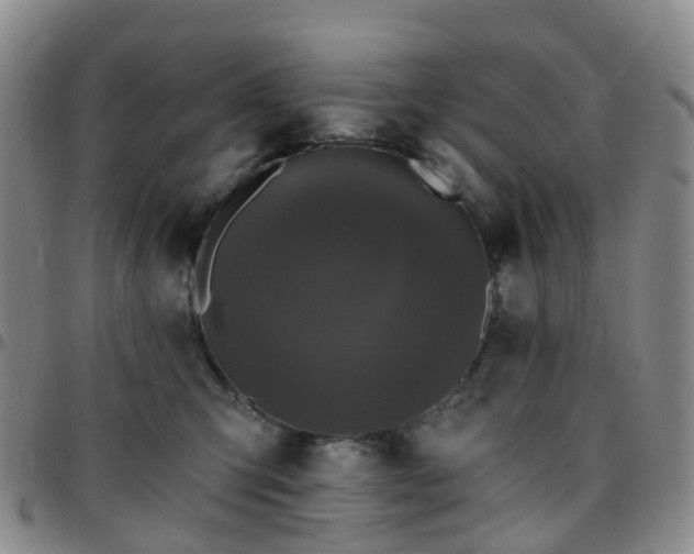 X0000097790423200803141833