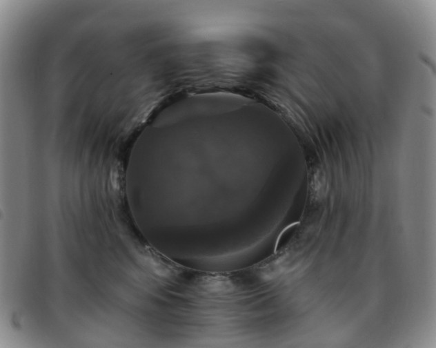 X0000097790424200803141833