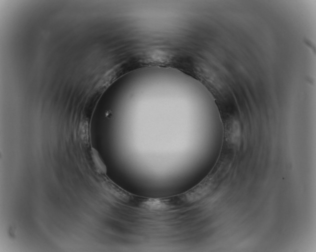 X0000097790425200803141833