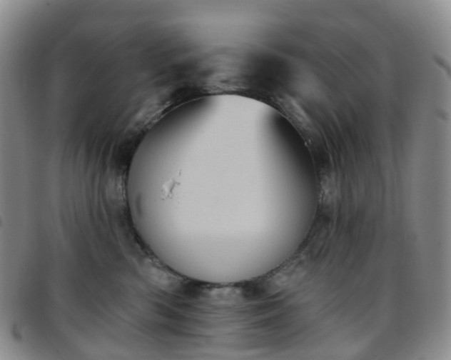 X0000097790426200803141833