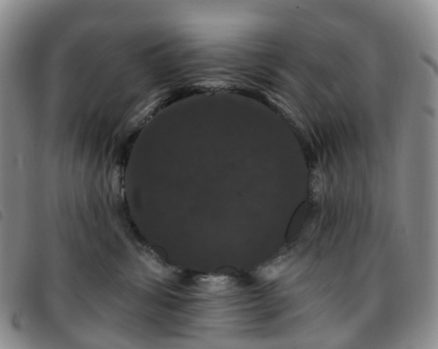 X0000097790428200803141833