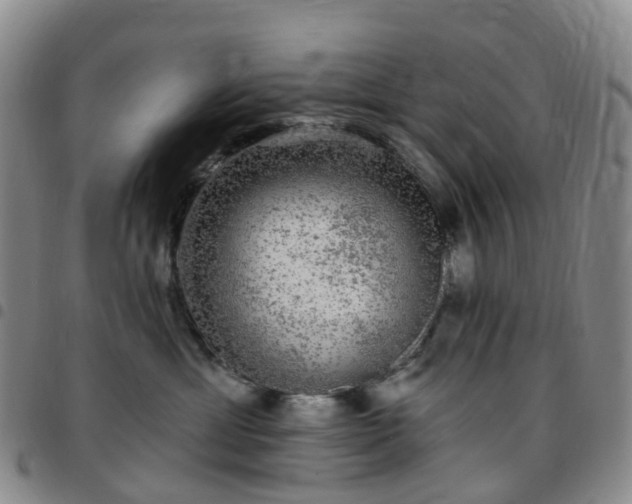 X0000097790429200803141833
