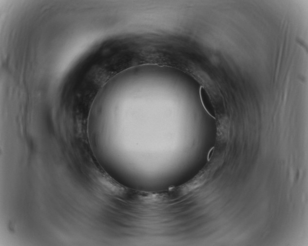 X0000097790430200803141833