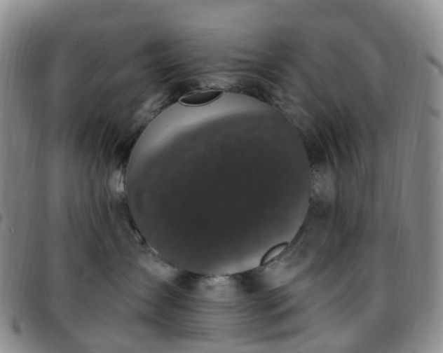 X0000097790431200803141833