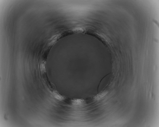 X0000097790432200803141833