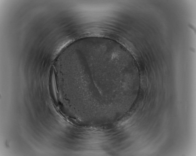 X0000097790434200803141833
