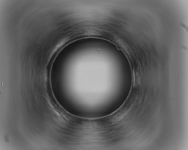 X0000097790435200803141833