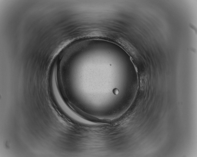 X0000097790436200803141833