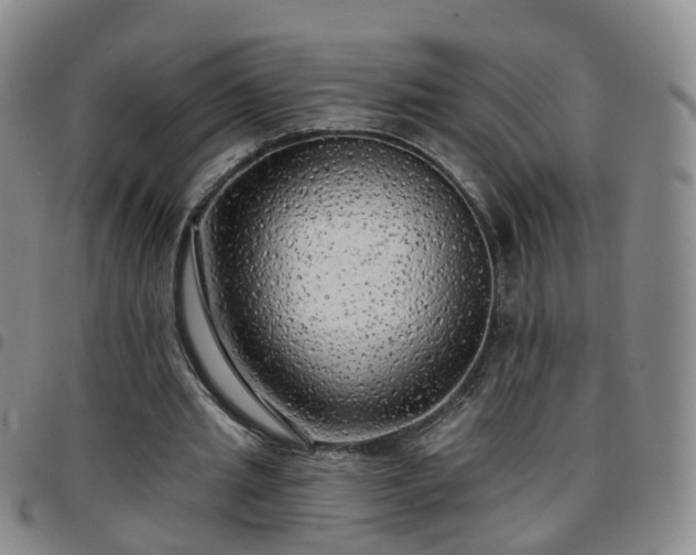 X0000097790437200803141833