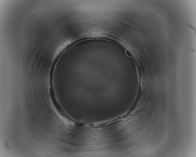 X0000097790438200803141833