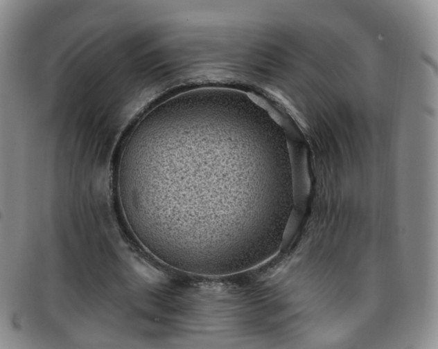 X0000097790439200803141833