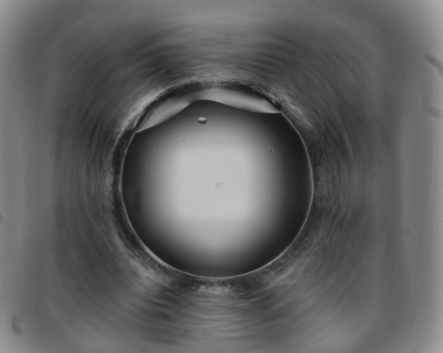 X0000097790440200803141833