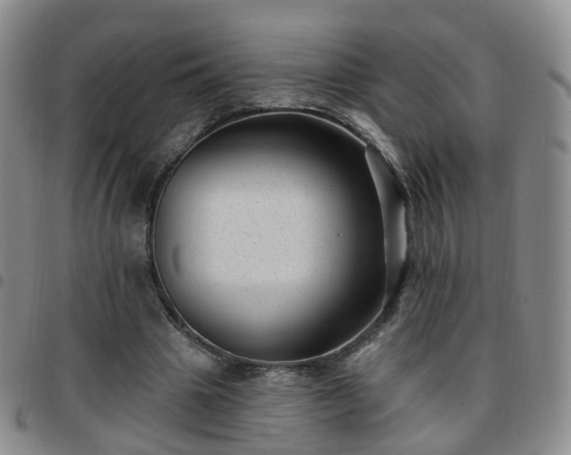 X0000097790441200803141833