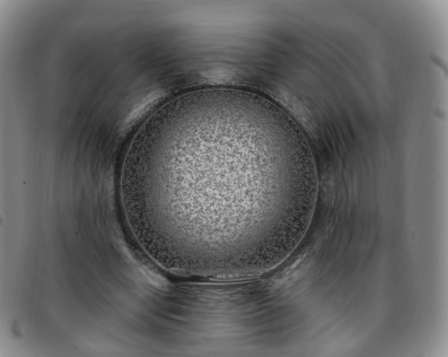 X0000097790442200803141833