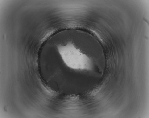 X0000097790443200803141833