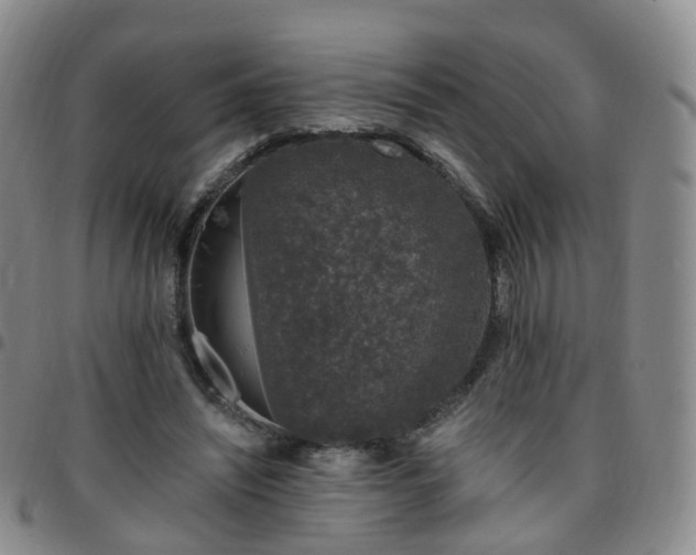 X0000097790444200803141833