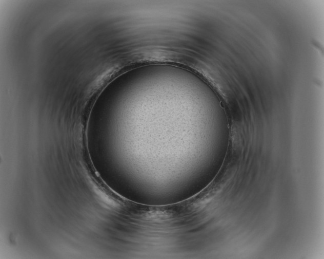 X0000097790445200803141833