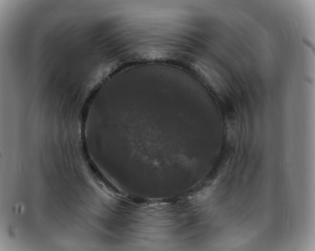 X0000097790447200803141833