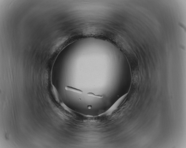 X0000097790448200803141833