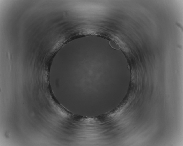 X0000097790449200803141833