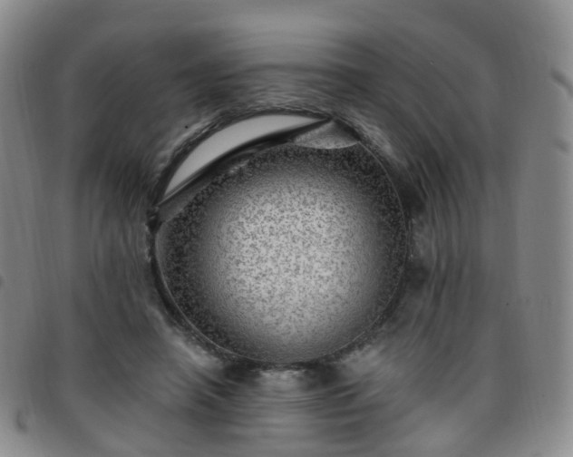 X0000097790450200803141833