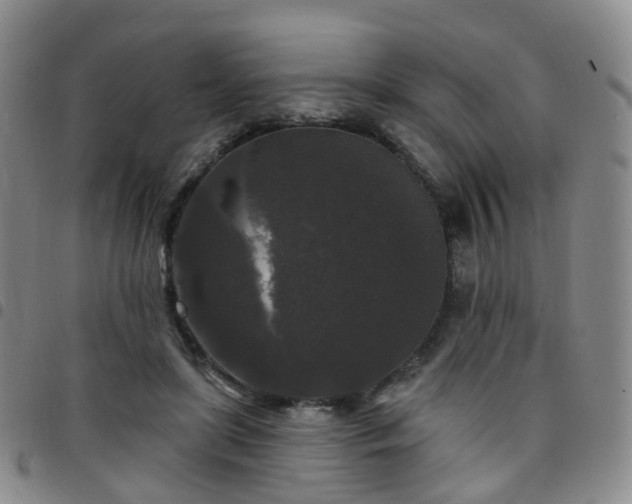 X0000097790451200803141833