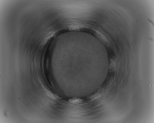 X0000097790452200803141833