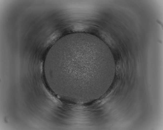 X0000097790454200803141833