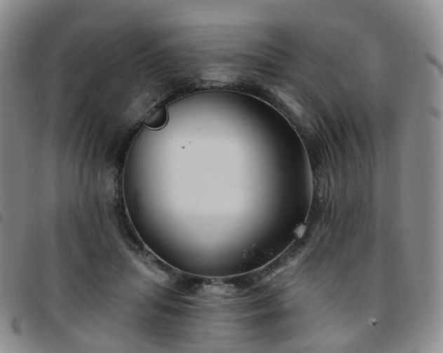 X0000097790455200803141833