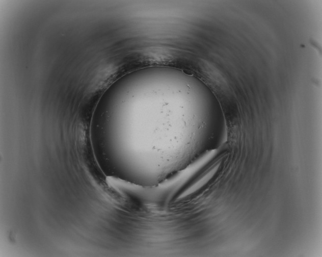 X0000097790456200803141833