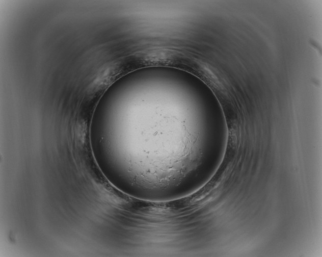 X0000097790458200803141833