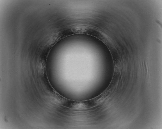 X0000097790460200803141833