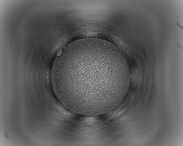 X0000097790462200803141833