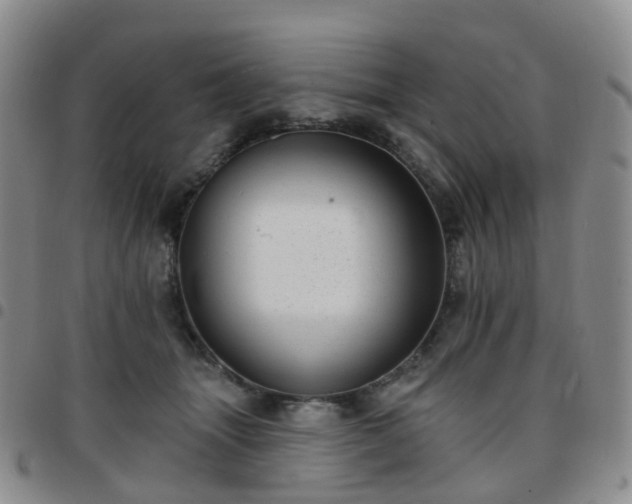 X0000097790463200803141833