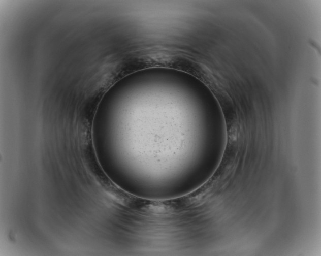 X0000097790464200803141833