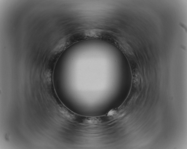 X0000097790466200803141833