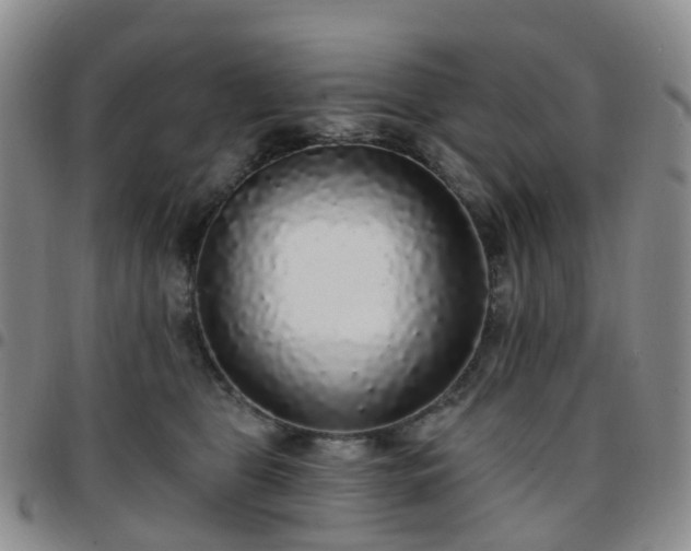 X0000097790469200803141833