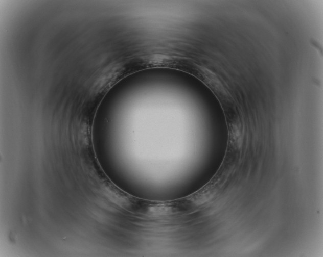 X0000097790470200803141833