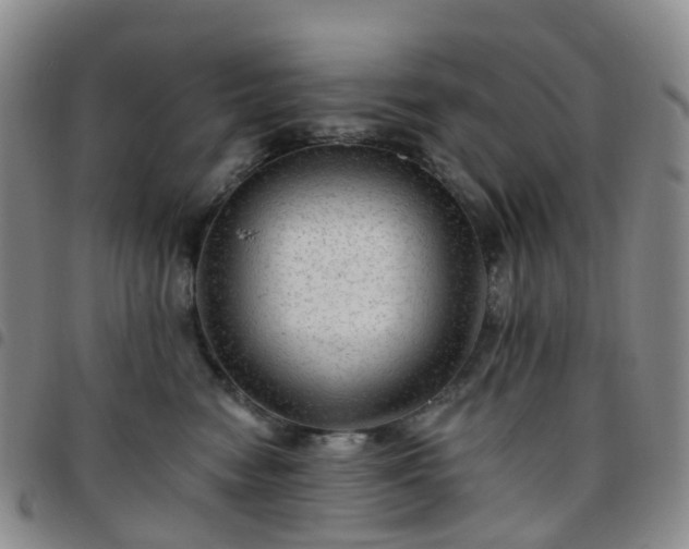 X0000097790474200803141833